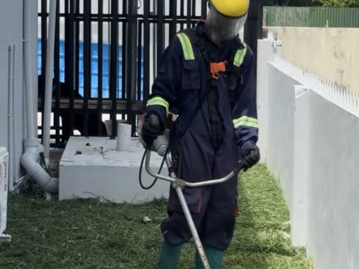 Lawn Maintenance